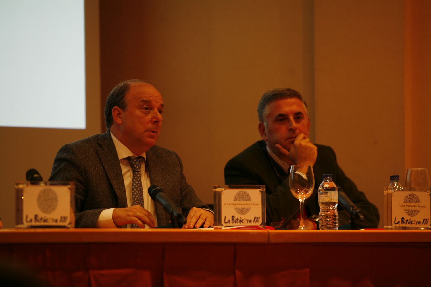 Vientres de alquiler